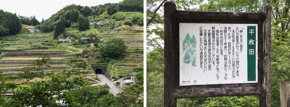 神在居の千枚田